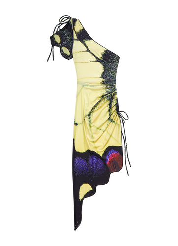 Yellow Swallowtail