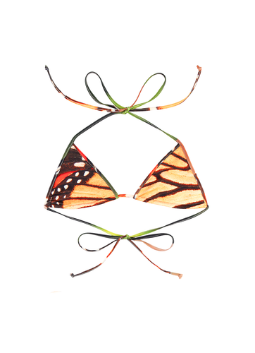 Monarch