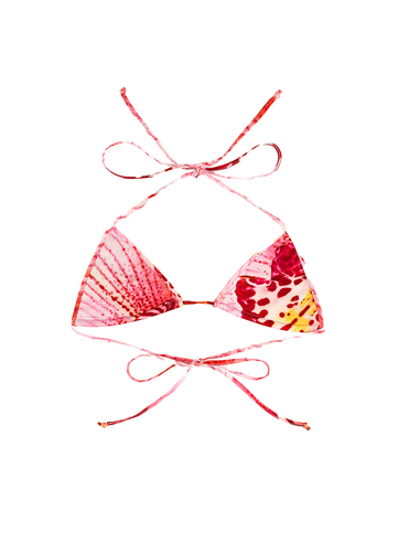 Orchid