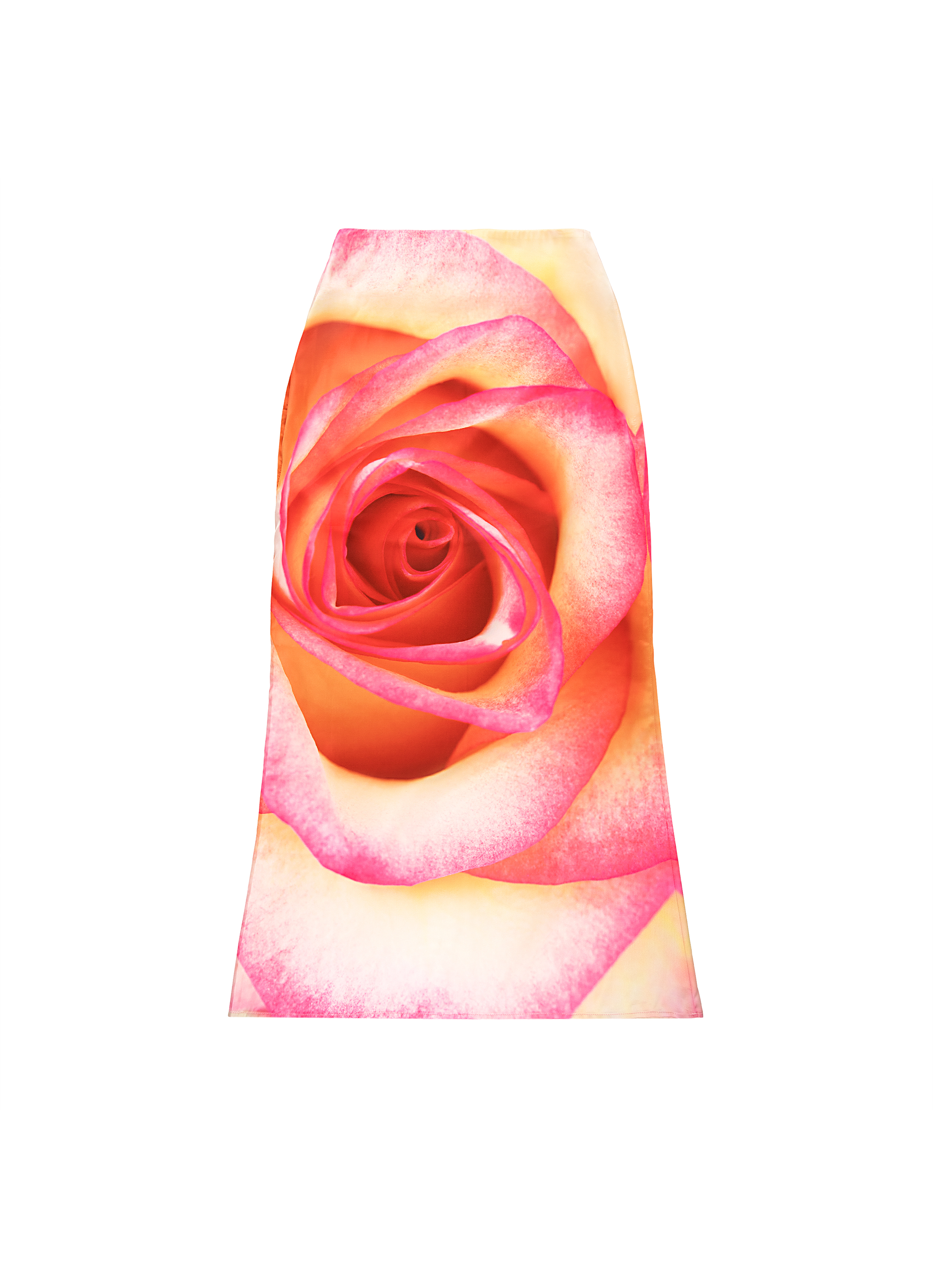 Tea Rose