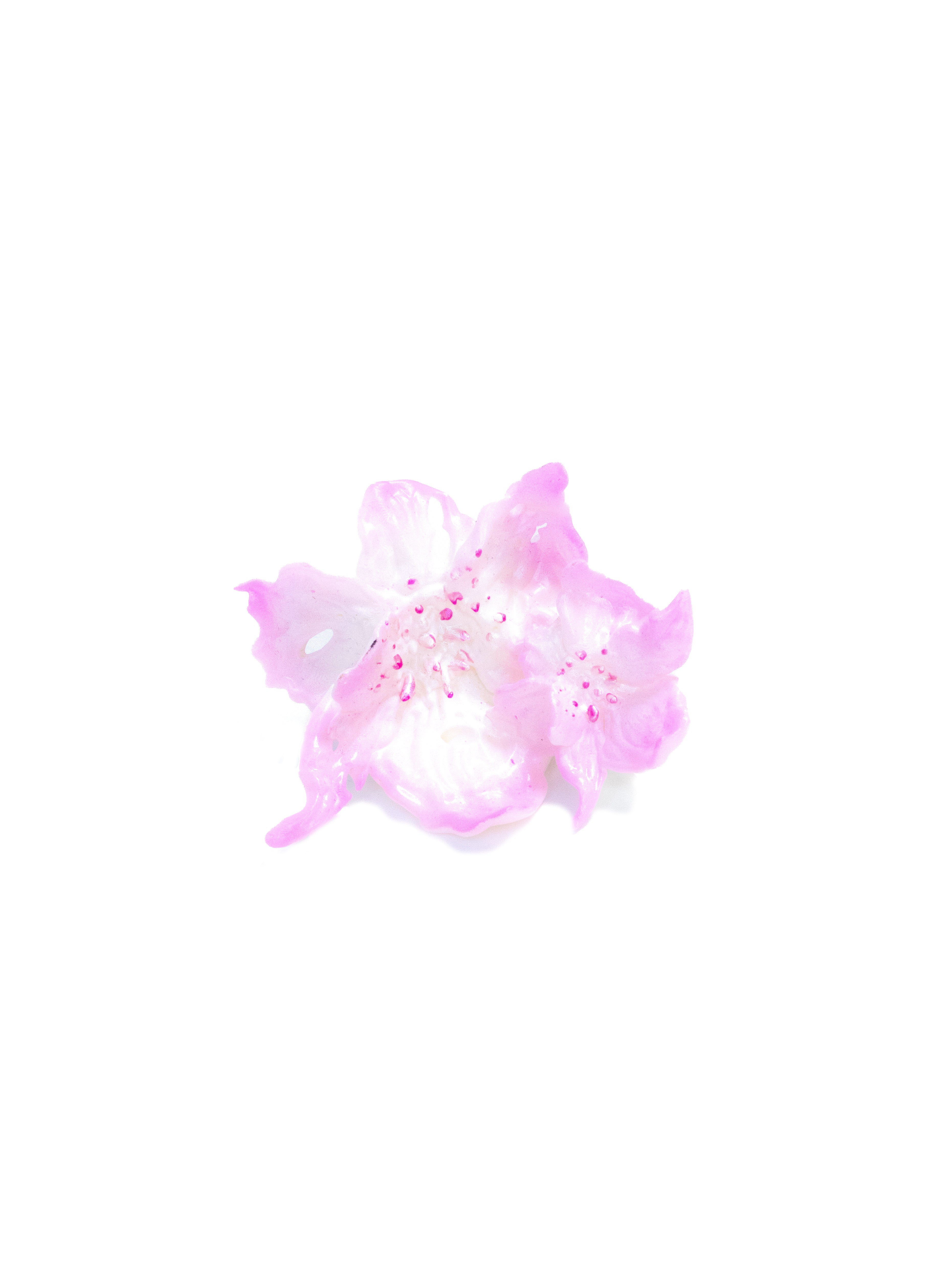 Pink/White