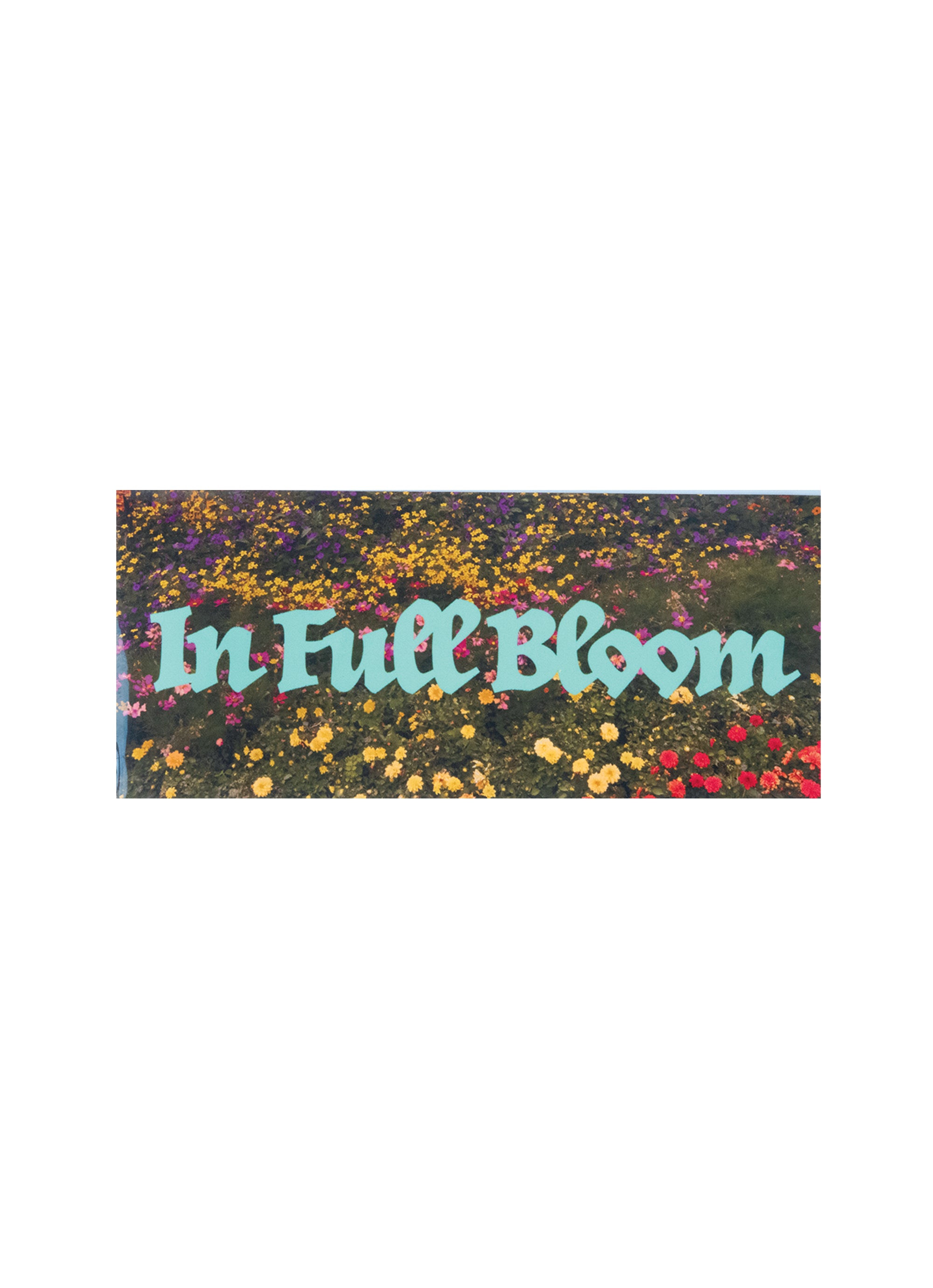 In Full Bloom