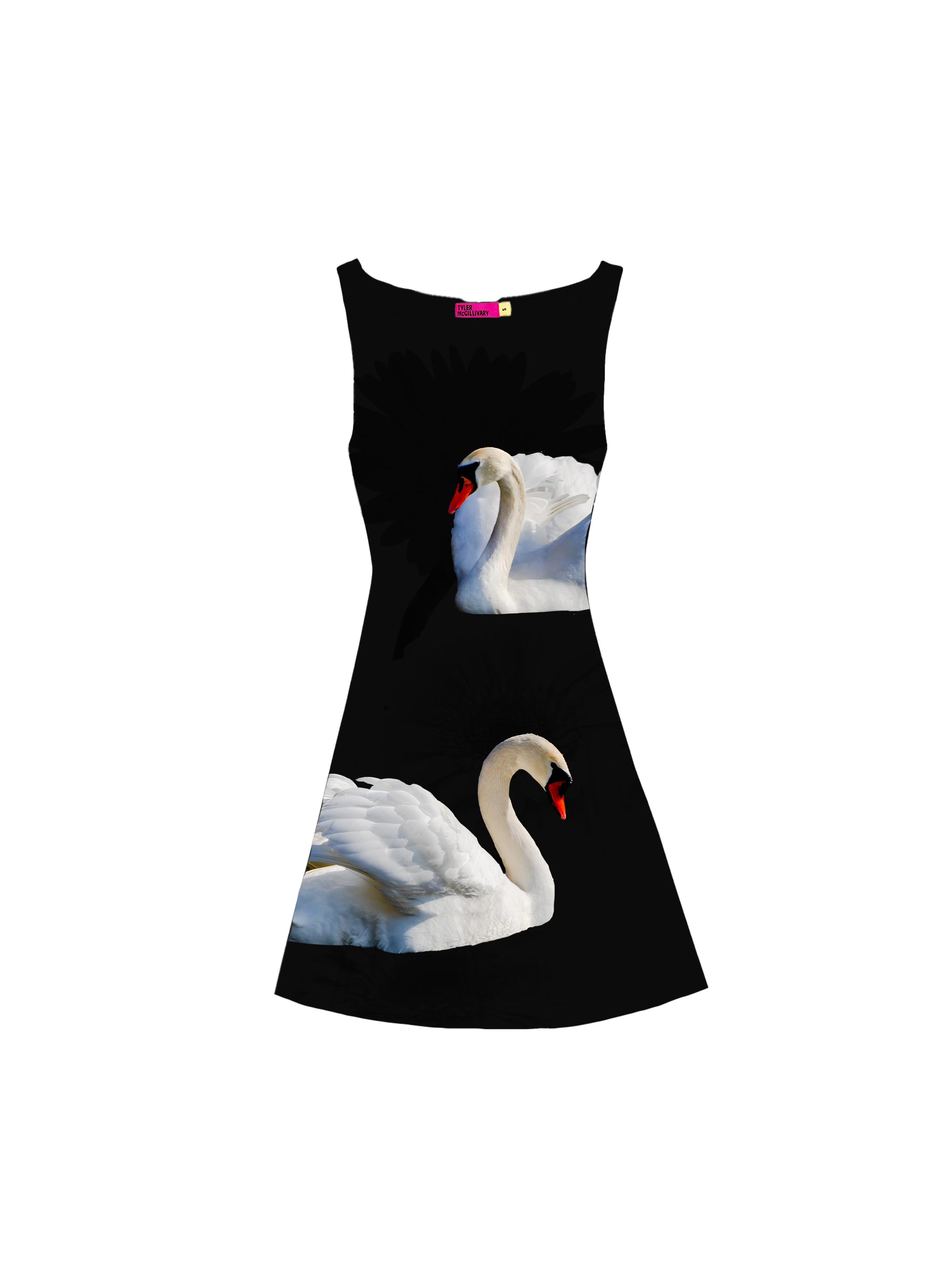 Swan