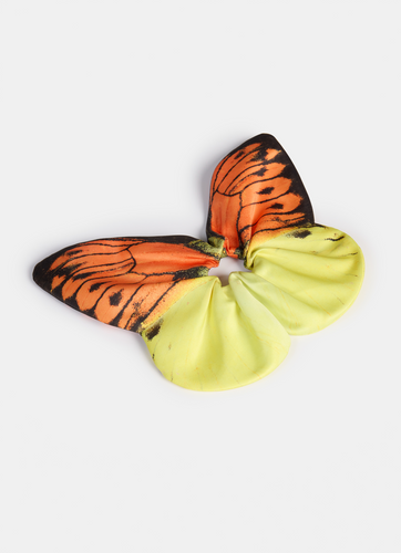 Orange Tipped Butterfly