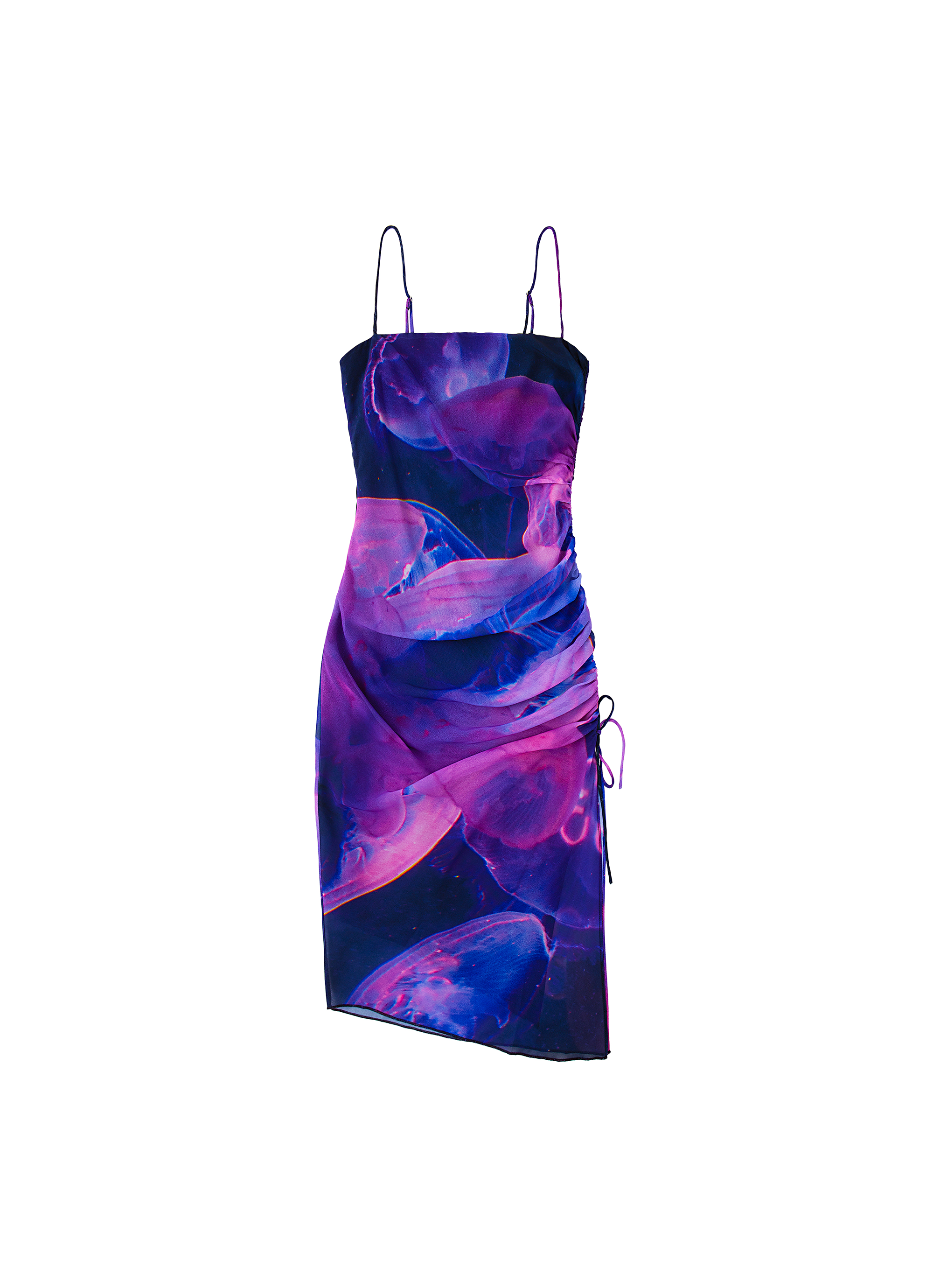 Jellyfish Print
