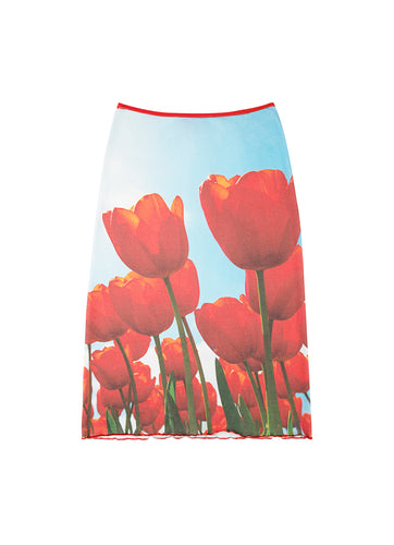 Tulip Fields