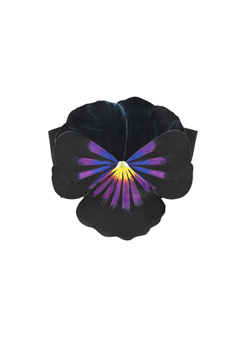 Black Pansy