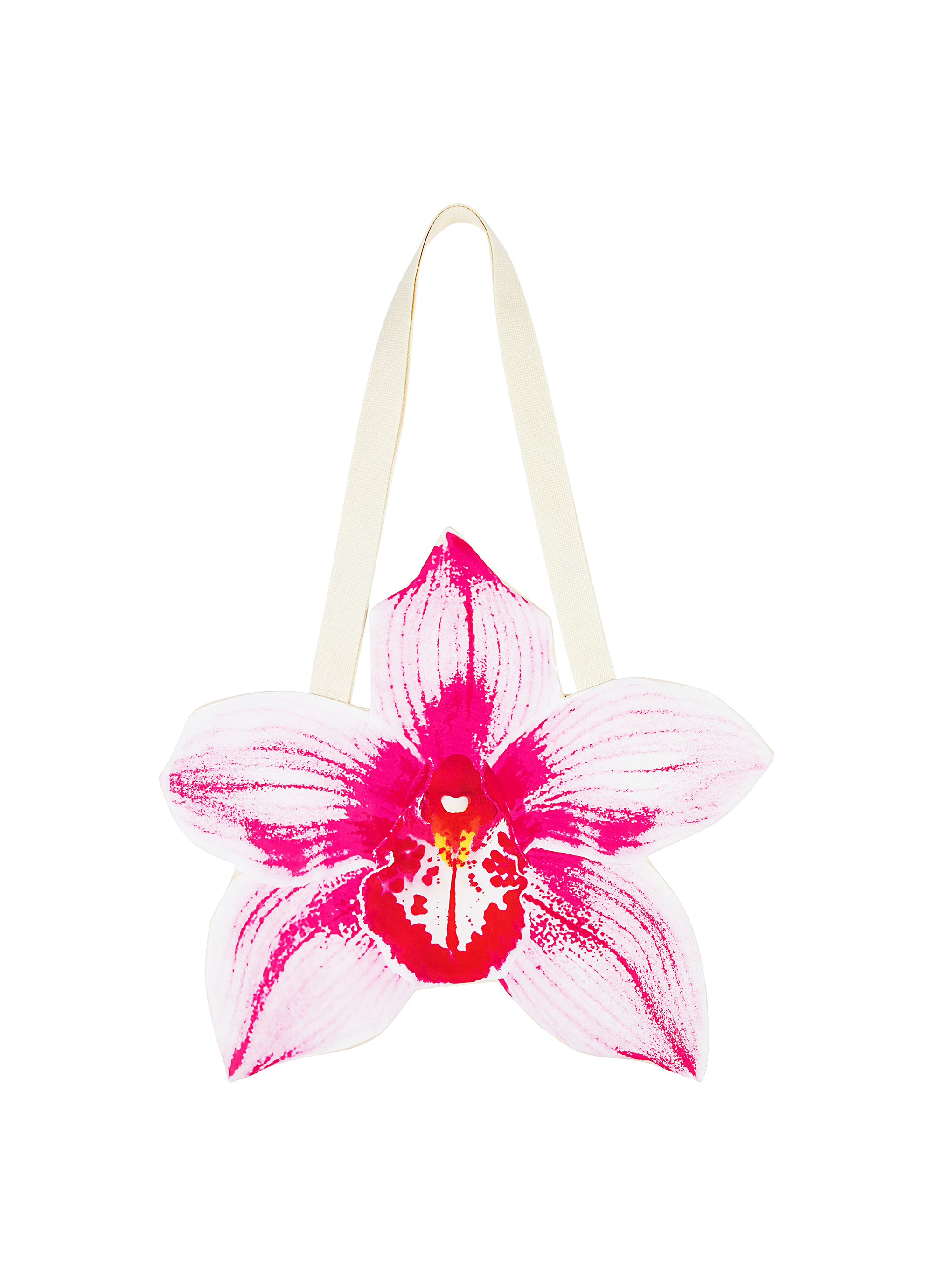 Orchid