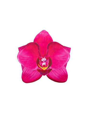 Purple Orchid