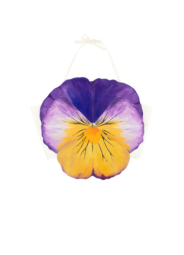 Purple Pansy